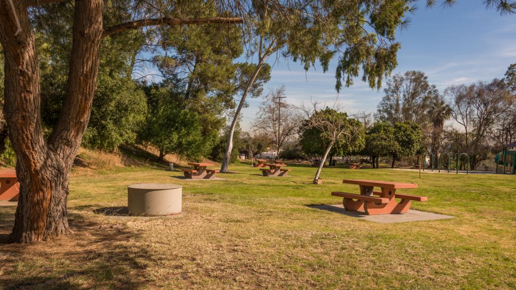 Buena Vista Meadow Picnic Area
