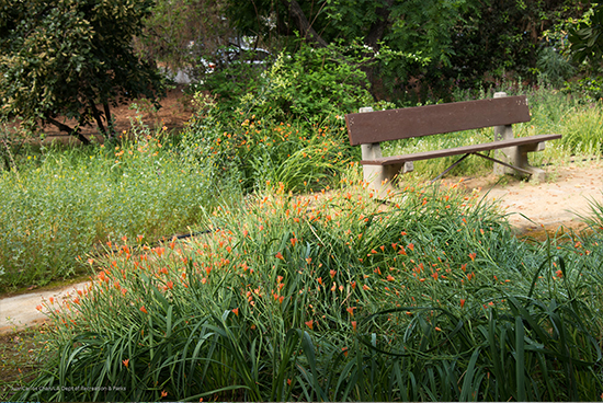 Lummis Home and Gardens