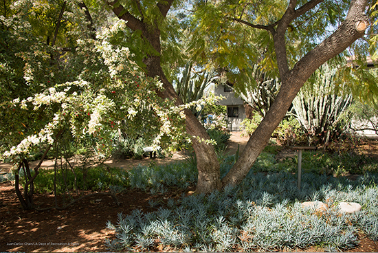 Lummis Home and Gardens