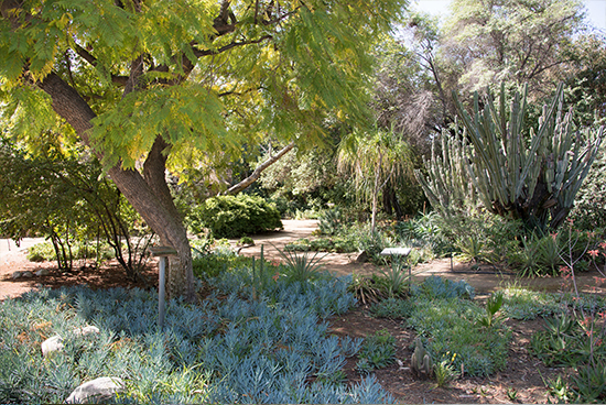 Lummis Home and Gardens