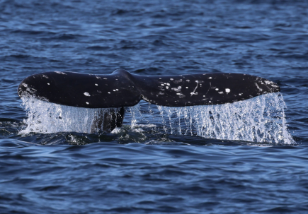 Campgrounds Image 15