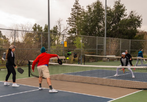Pickleball Image 1