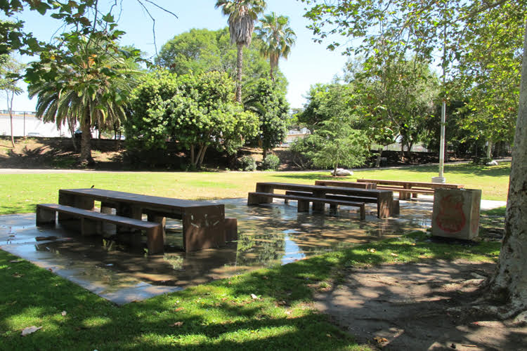 Picnic Area B Picture