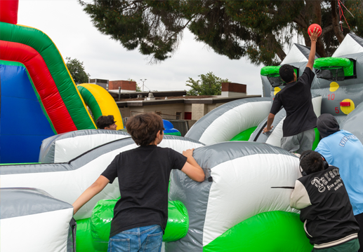 Salute To Recreation Image 14