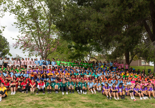 Salute To Recreation Image 15