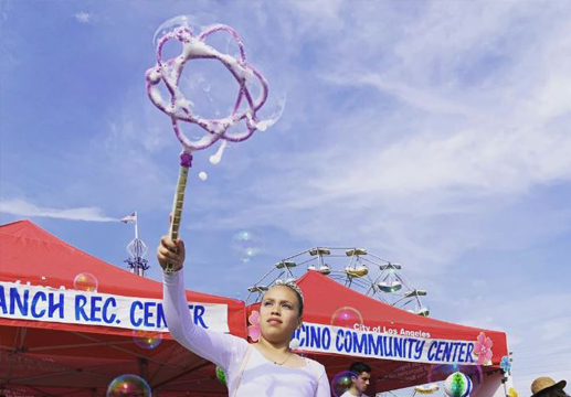 Salute To Recreation Image 28